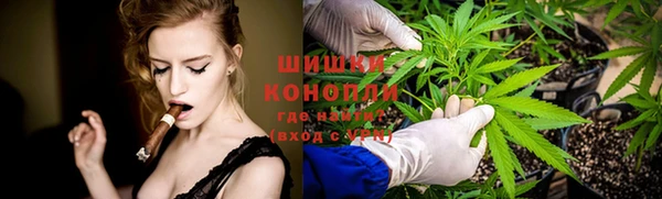 ECSTASY Инта