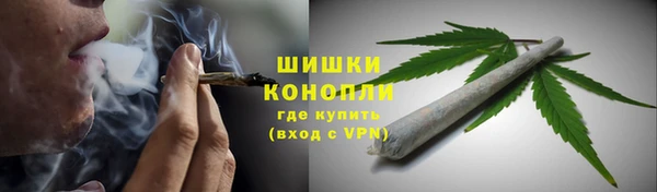 ECSTASY Инта