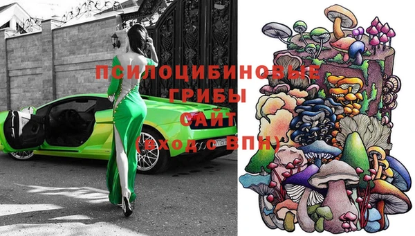 ECSTASY Инта