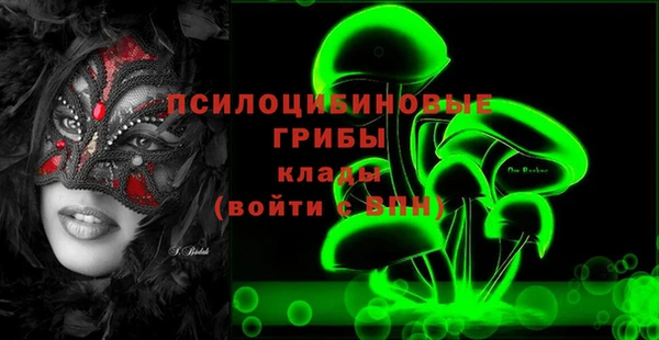 ECSTASY Инта